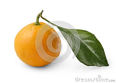 ÐŸÐ»Ð¾Ð´ Ð¼Ð°Ð½Ð´Ð°Ñ€Ð¸Ð½ Ð½Ð° Ð±ÐµÐ»Ð¾Ð¼ Ñ„Ð¾Ð½Ðµ, ÑÐ¾Ñ…Ñ€Ð°Ð½ÐµÐ½Ð½Ñ‹Ð¹ Ð¾Ð±Ñ‚Ñ€Ð°Ð²Ð¾Ñ‡Ð½Ñ‹Ð¹ ÐºÐ¾Ð½Ñ‚ÑƒÑ€ Mandarin fruit on a Stock Photo